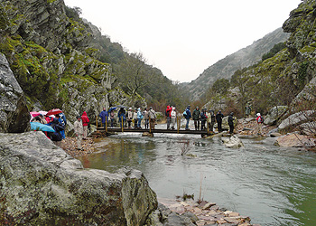 Marcha de invierno