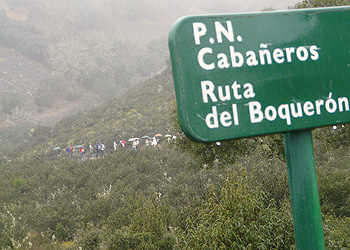 Marcha de invierno