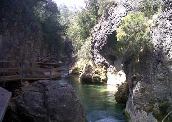 Cazorla