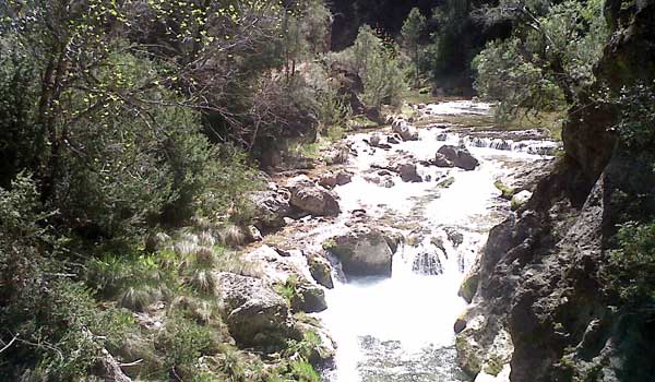 Cazorla